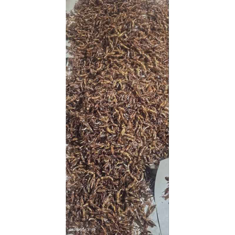 

BELALANG GORENG KEMASAN 1KG MURAH