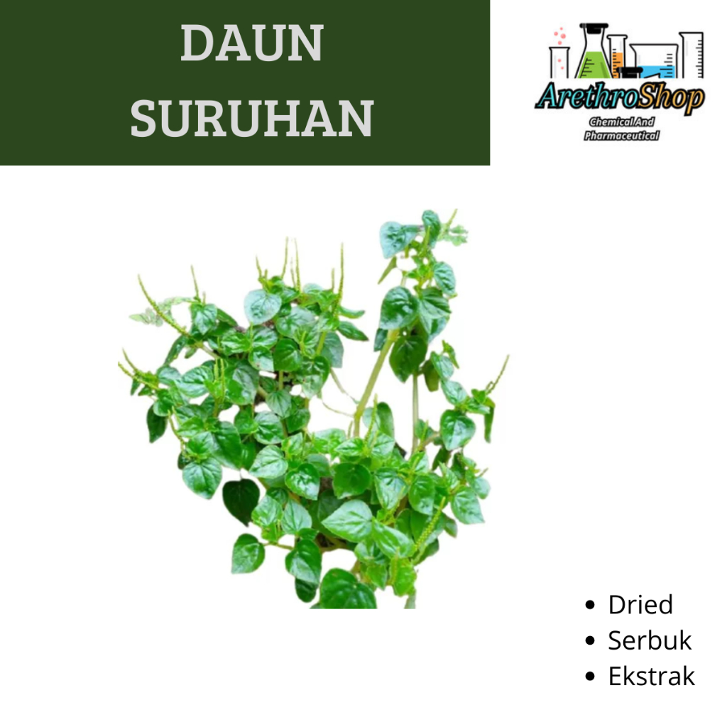 

EKSTRAK DAUN SURUHAN 10 GRAM BEST PRODUCT