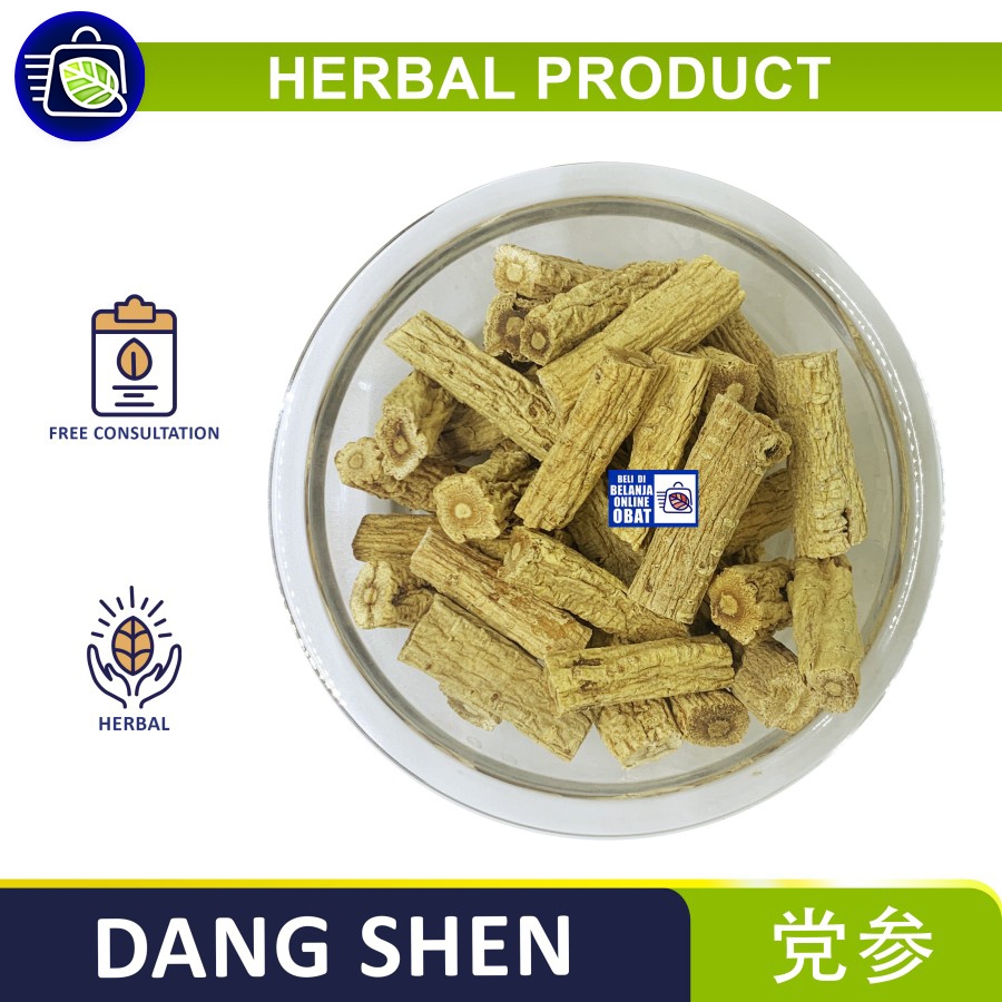 

DANG SHEN // 党参 // Menyehatkan Limpa