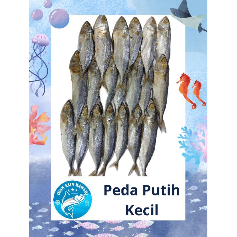 

Ikan Peda Asin Spr 500 gr