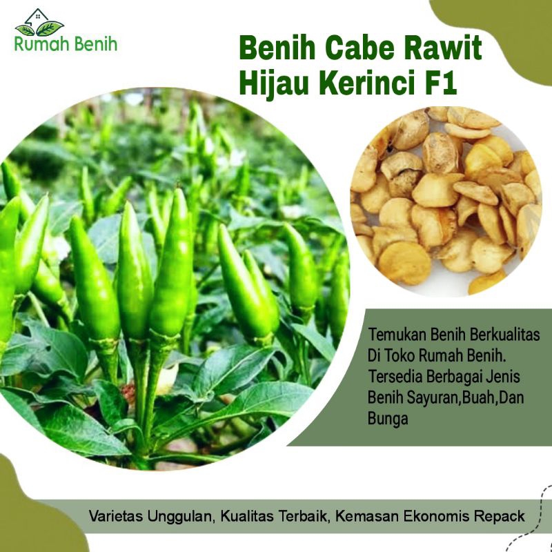 Benih Cabe Rawit Hijau Kerinci Super / Bibit Benih Cabe Rawit Hijau Kerinci / Biji Benih Cabe Rawit 