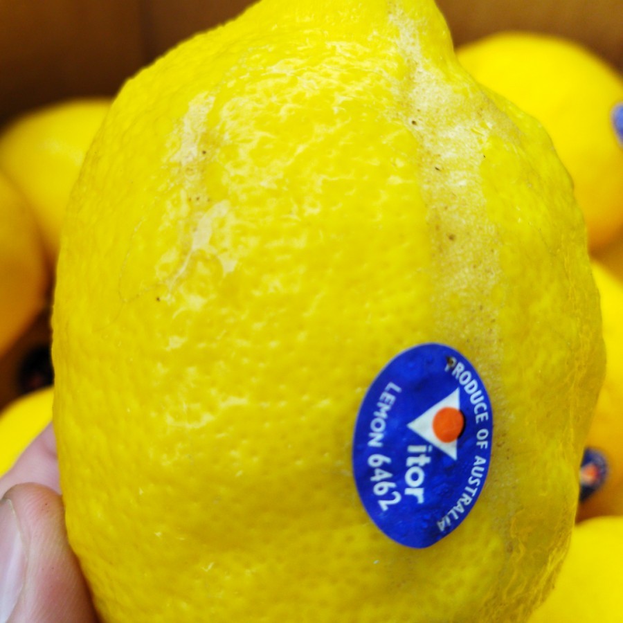 

LEMON IMPORT MURAH 6000 PERBIJI