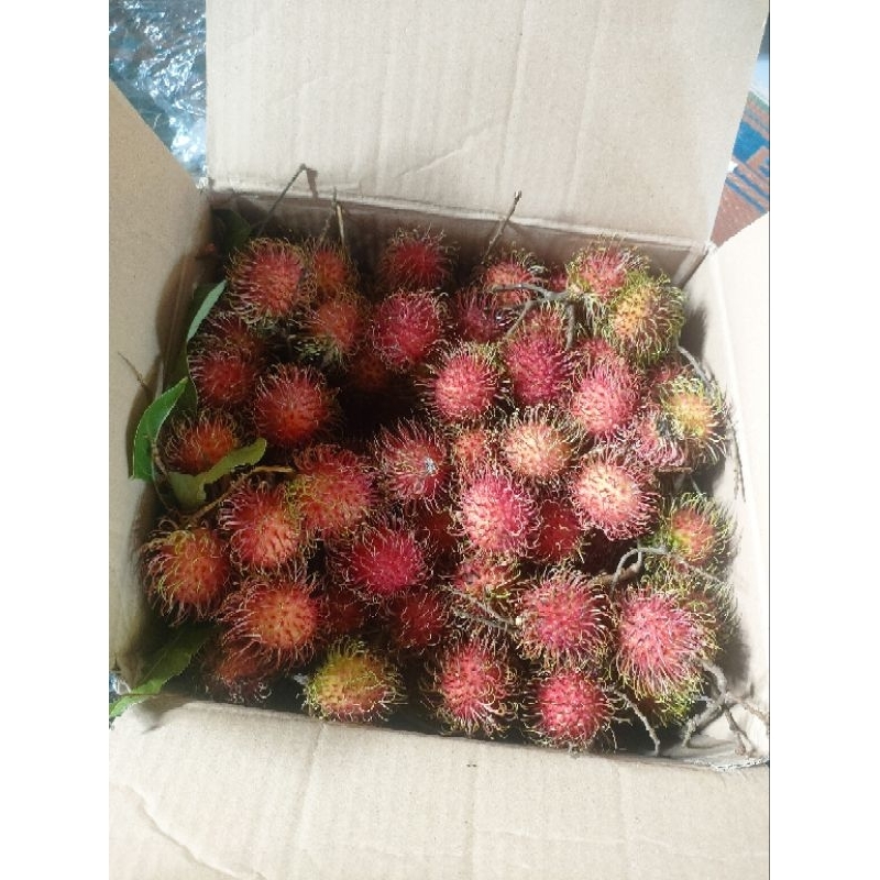 

buah rambutan 1kg