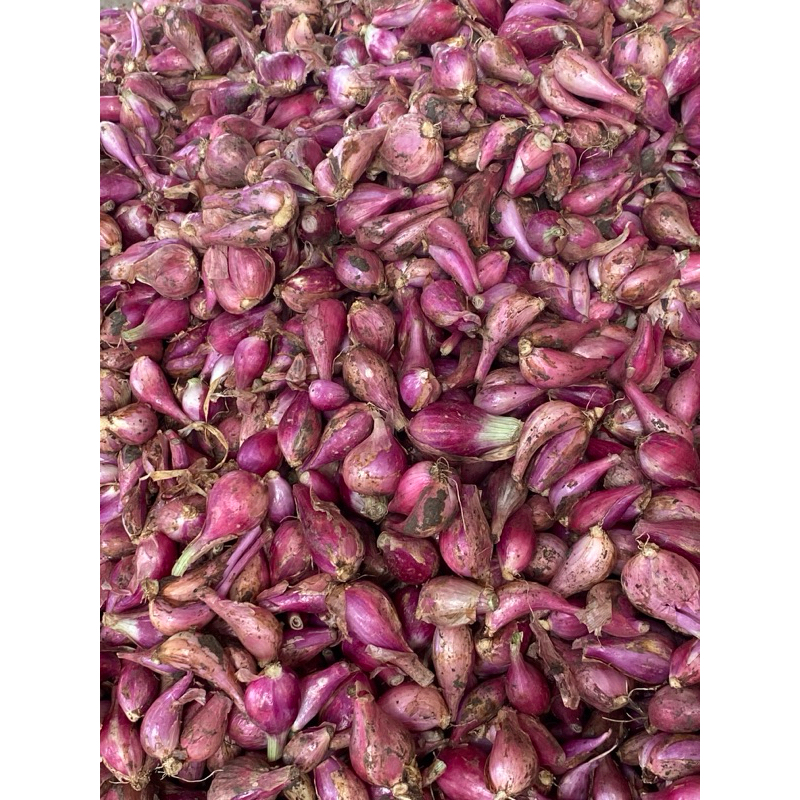 

bawang merah brebes 1kg
