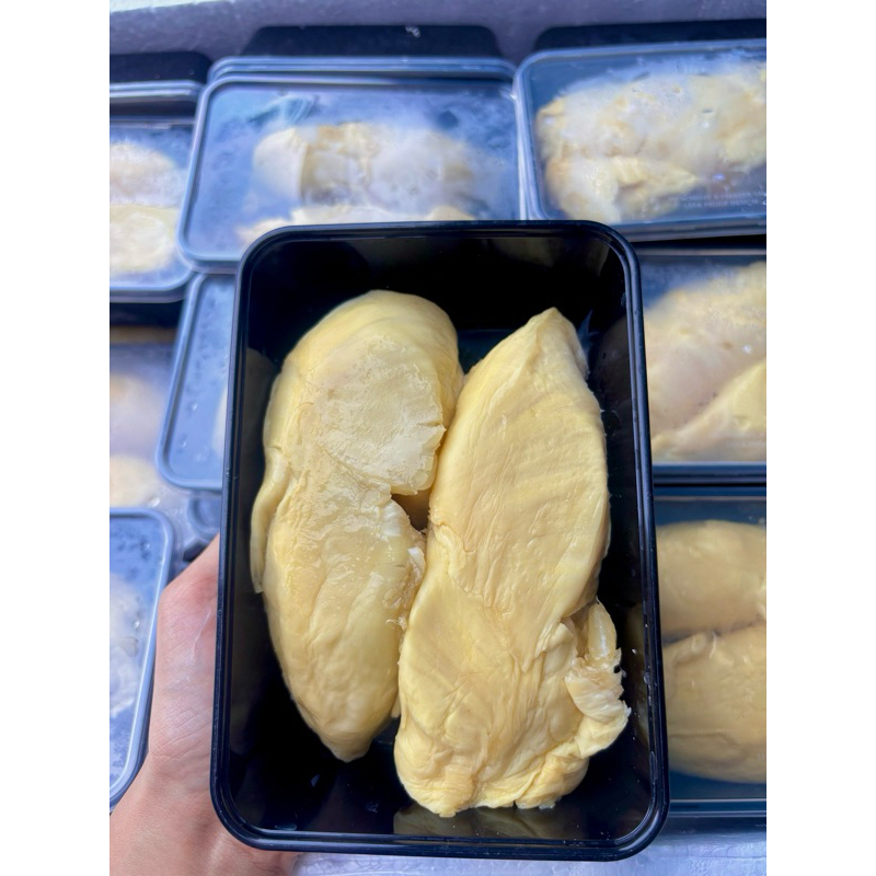 

montong bali premium