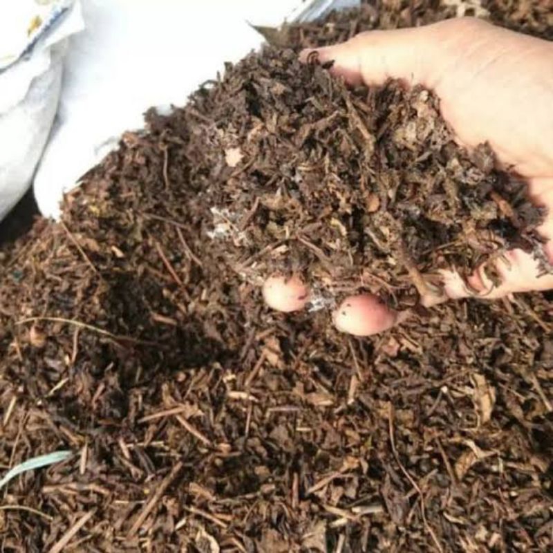 MEDIA TANAM PUPUK KOMPOS HUMUS DAUN BAMBU KEMASAN 2KG