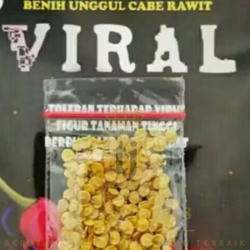 500 BUTIR BENIH CABAI RAWIT VIRAL benih unggul cabai rawit