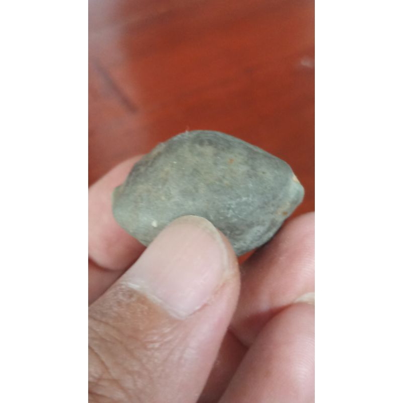 muncang adu jabra si gawir