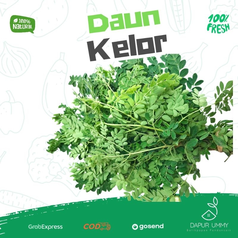 

SAYUR FRESH • Daun Kelor