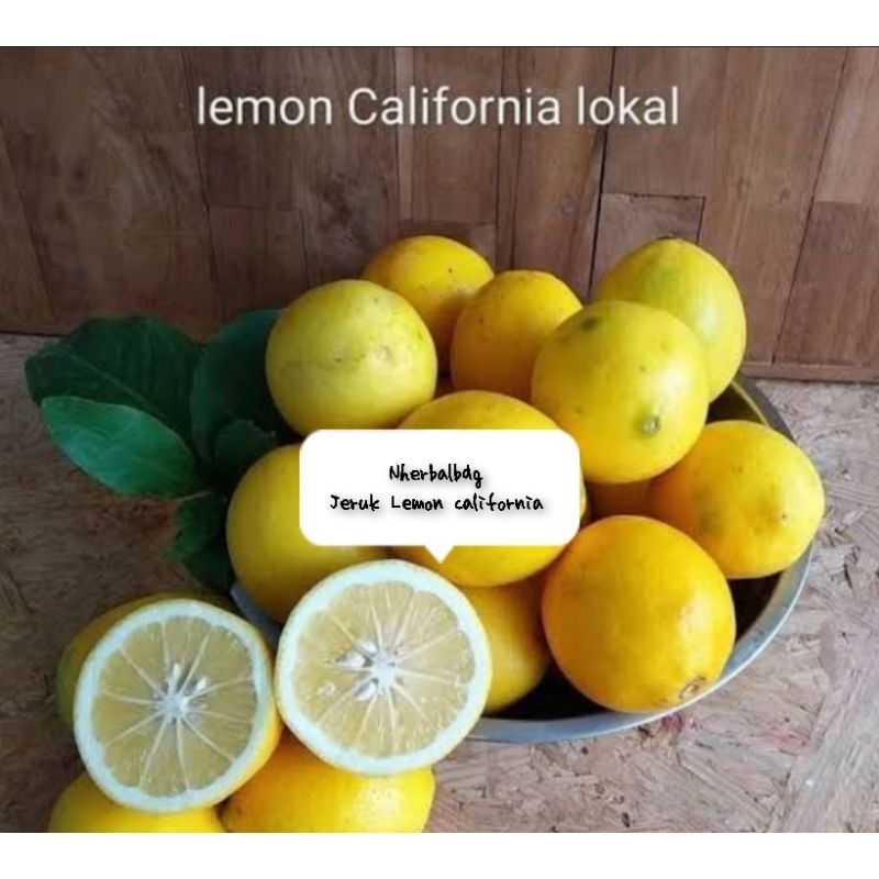 

Buah jeruk lemon california segar 500 gram