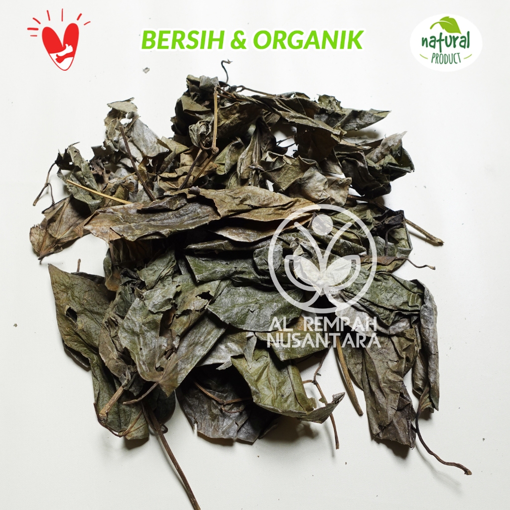 

Daun Sirih Hijau Kering 100gr Bersih dan Organik