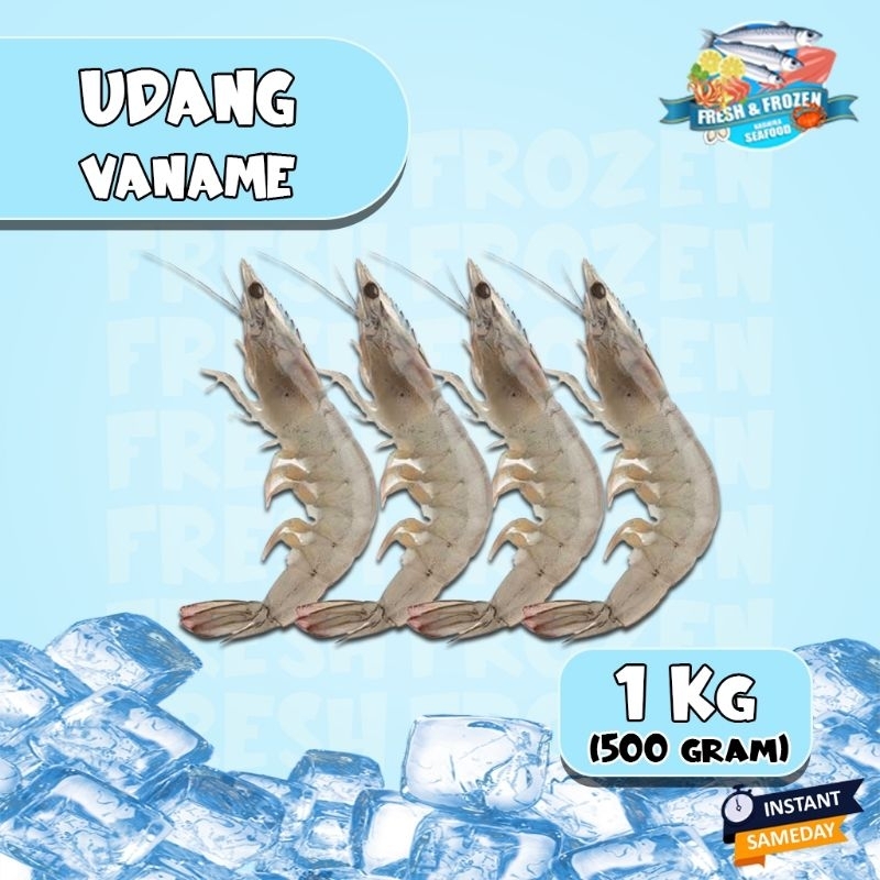 

Udang Vaname 500gr - 1kg Fresh Ukuran Sedang