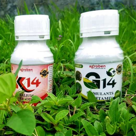 Pupuk Organik Agroben G14 & K14 Pupuk Cair Untuk Kesuburan Daun Dan Pertumbuhan Buah Tanaman Hijau