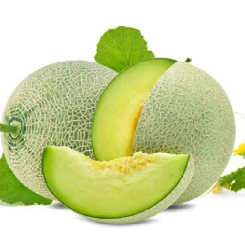 

Buah Melon 1 buah Fresh