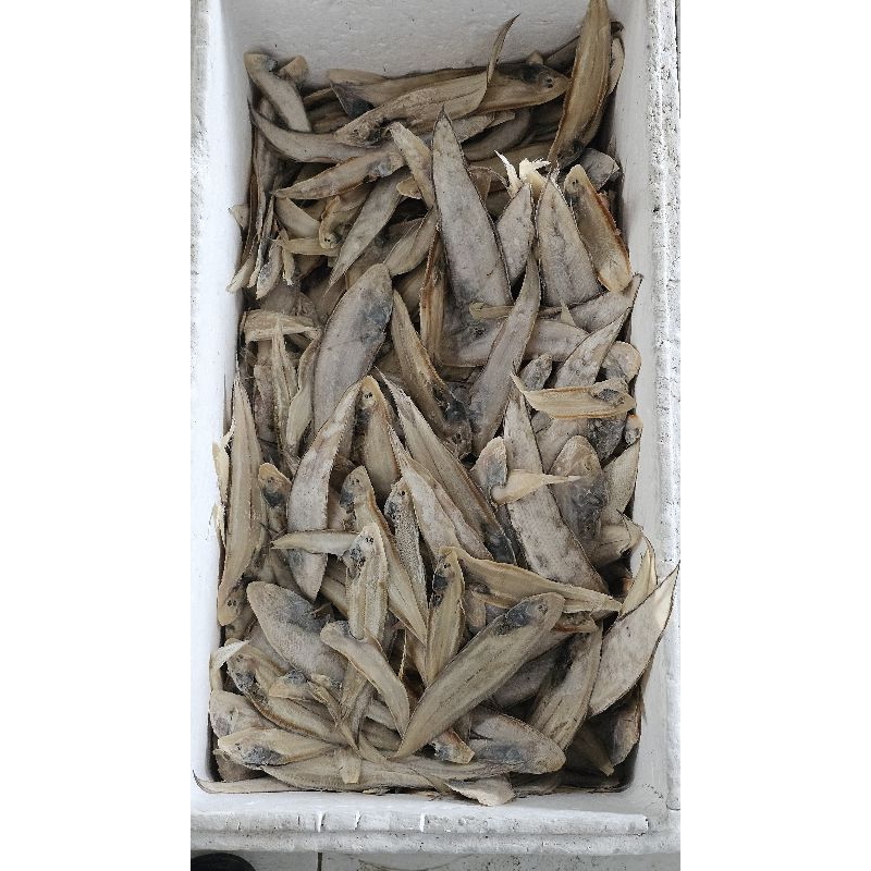 

Ikan asin family