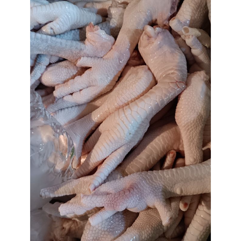 

ceker ayam segar 500gr