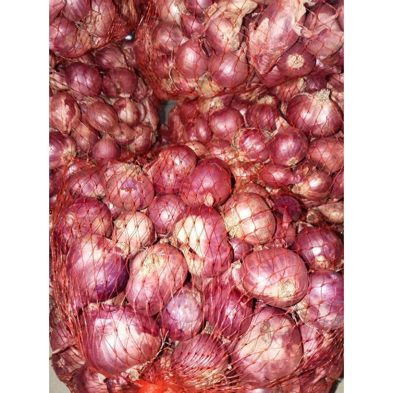 

bawang merah brebes