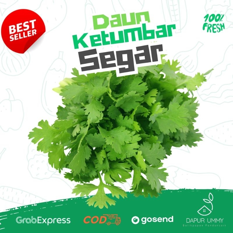

SAYUR FRESH • Daun Ketumbar • Coriander • 220g - 250g