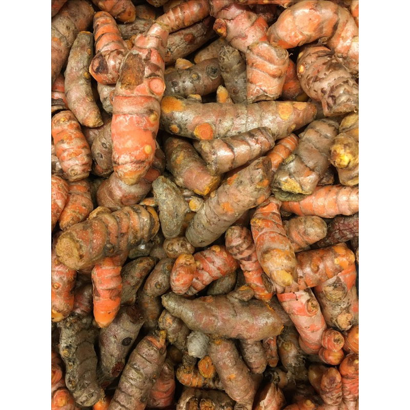 

KUNYIT 1KG REMPAH BUMBU JAMU