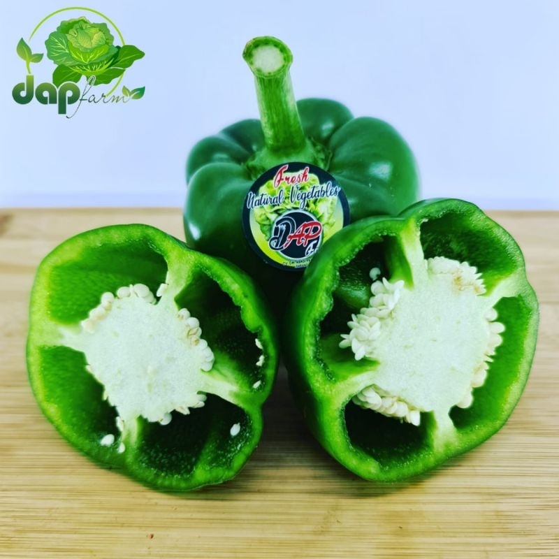 

Paprika Hijau Fresh/ DAP Farm/ Sayur Segar Jakarta