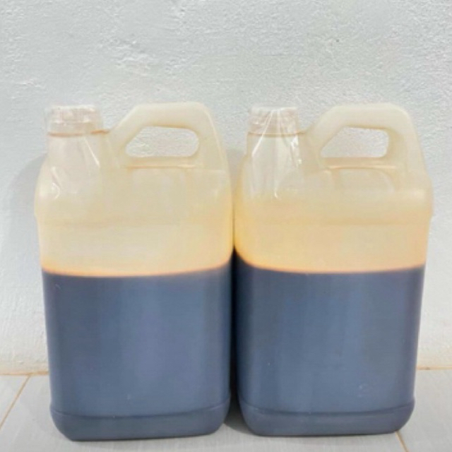 

MADU AKASIA 5KG MADU ASLI MURNI GROSIR MADU HUTAN AKASIA