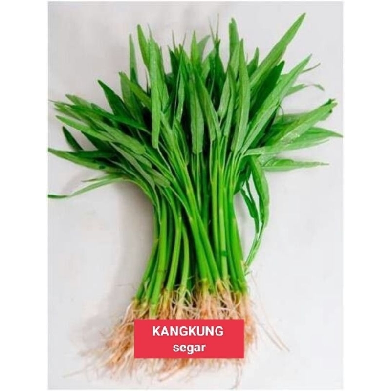 

Sayur Kangkung 2 Ikat Garansi Segar