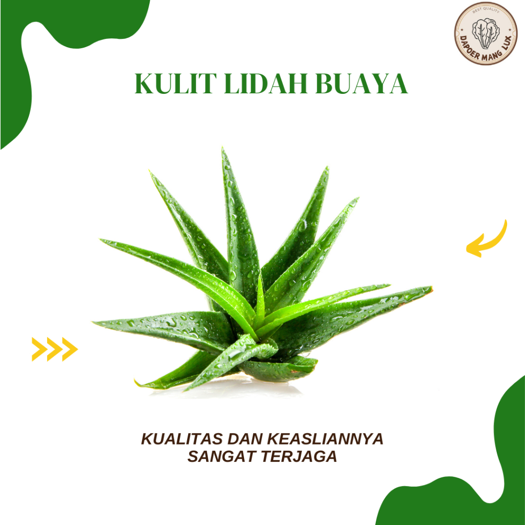 

EKSTRAK KULIT LIDAH BUAYA BEST SELLER