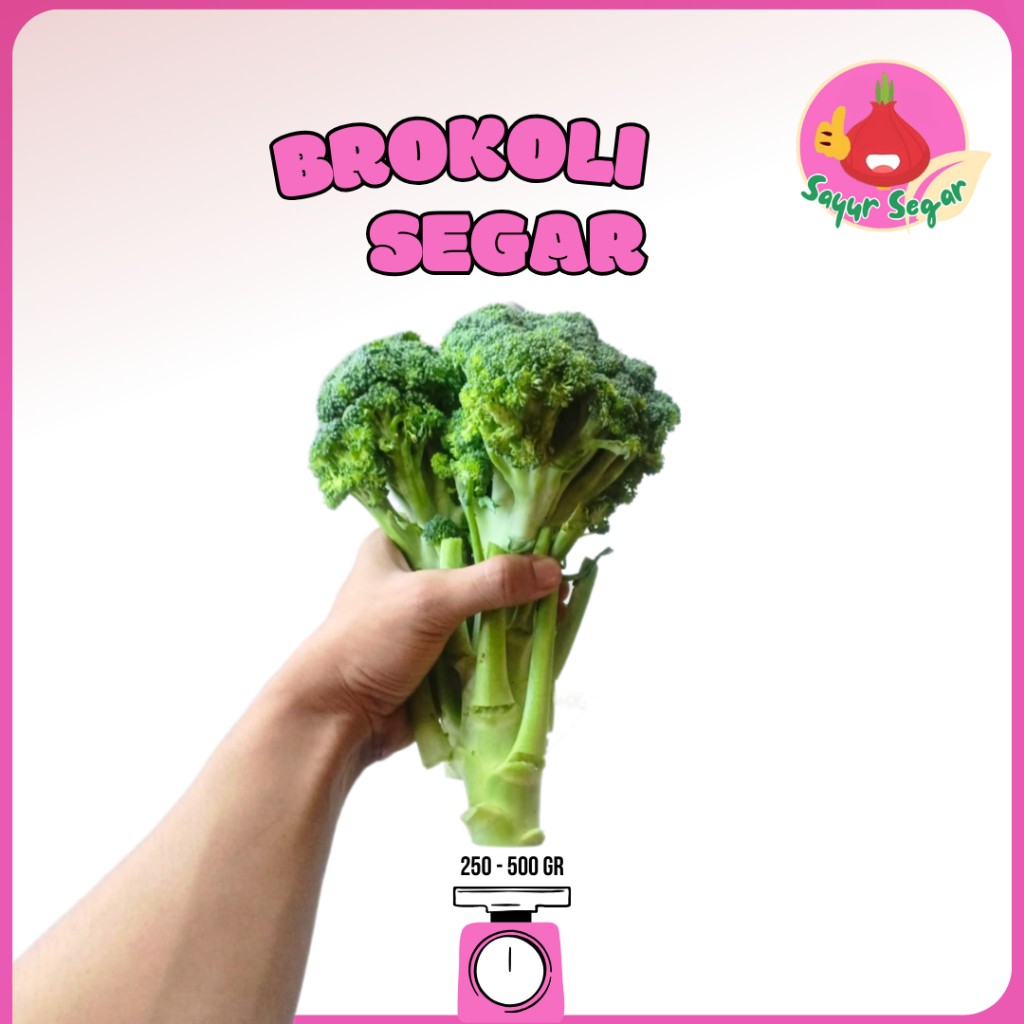 

Sayur Segar - Brokoli Segar / Fresh Broccoli