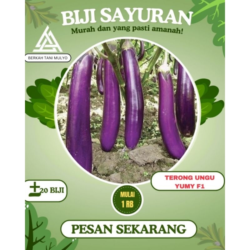 20 Biji - Benih Terong Ungu YUMI F1 - Cap ☐Panah Merah Benih Terong FAVORITi PETANI -Bibit Sayuran