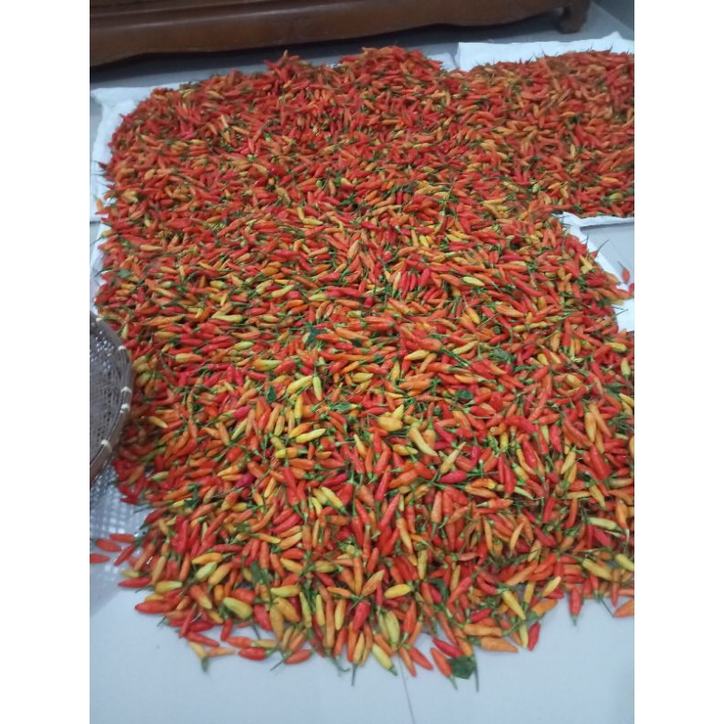 

cabe rawit merah ORI / caplak 500 gram