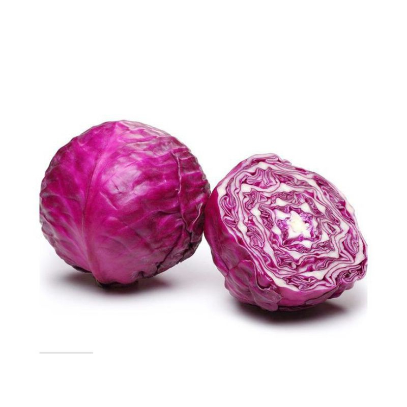 

Kol Ungu / Kubis merah