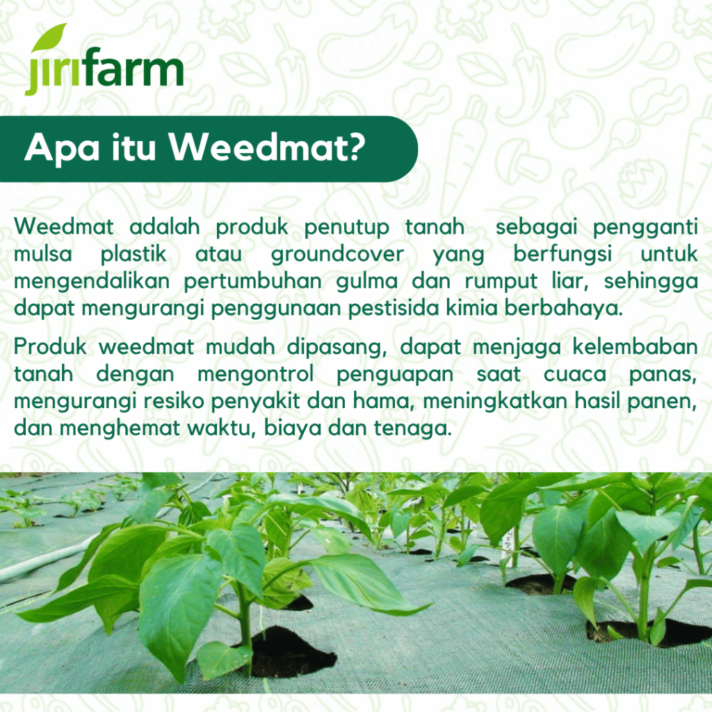 Jirifarm - Mulsa Weedmat Control Lebar 2 Meter Terpal Green House Meteran Woven Fabric Anti Uv Hitam
