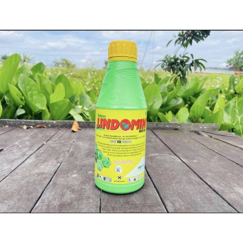 herbisida Lindomin 865sl 1 liter obat kuning selektif obat pembasmi rumput racun rumput