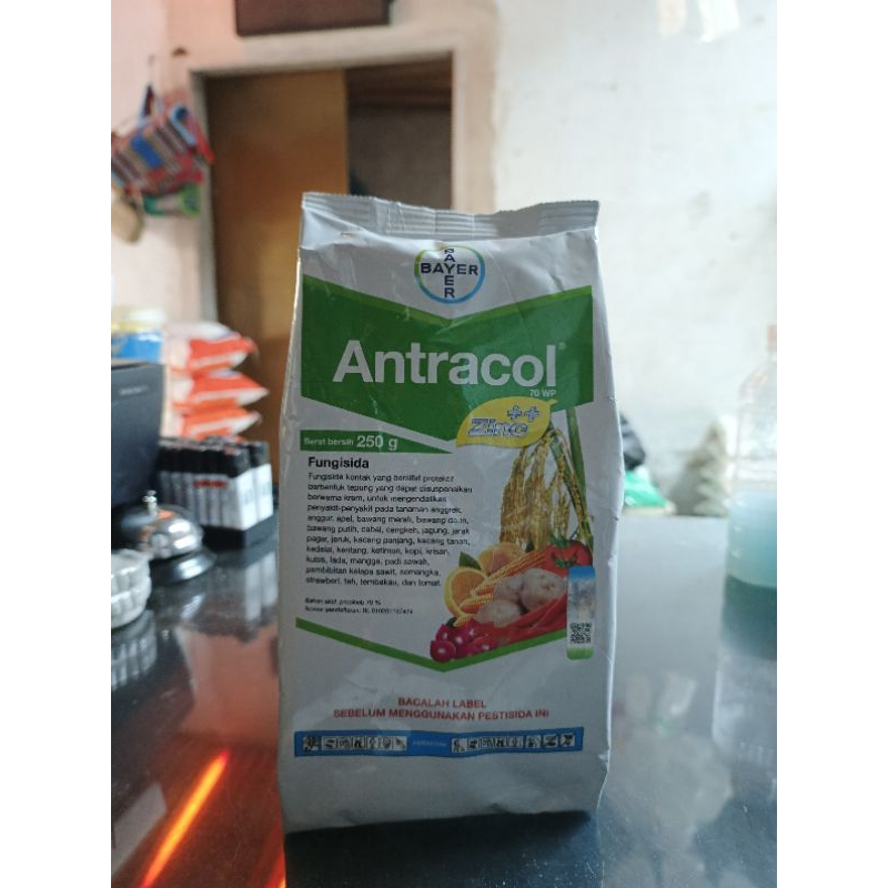Antracol Fungisida