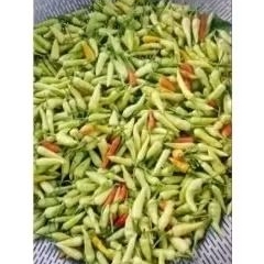 

Cabe rawit 50 gr