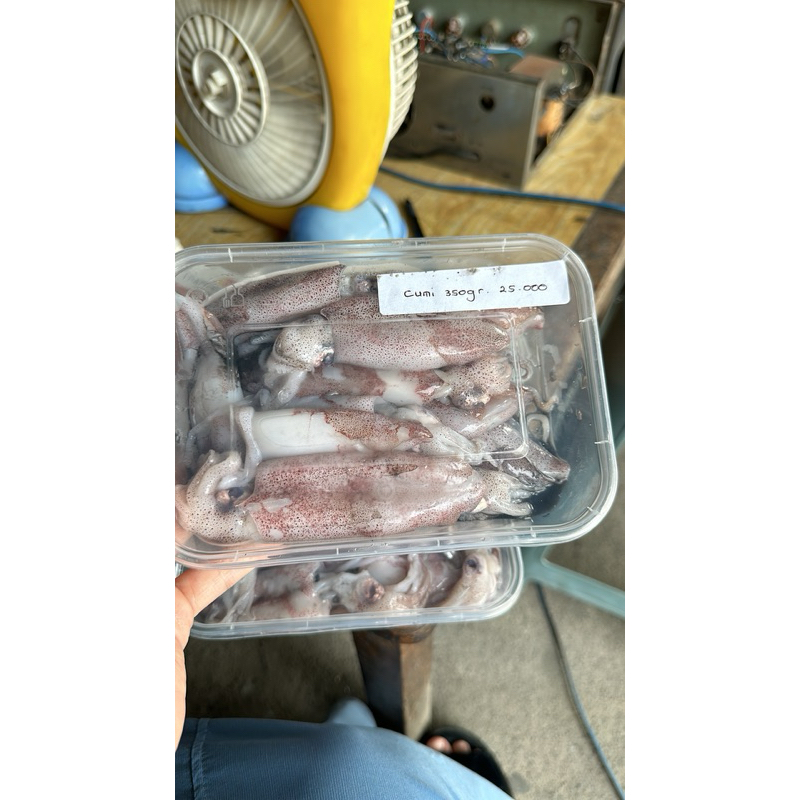 

cumi cantik beku 500gr