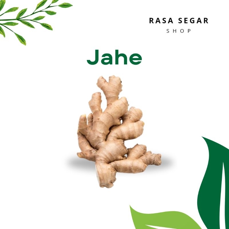 

Jahe 500gram pedas jahe murah hare hangat kesehatan