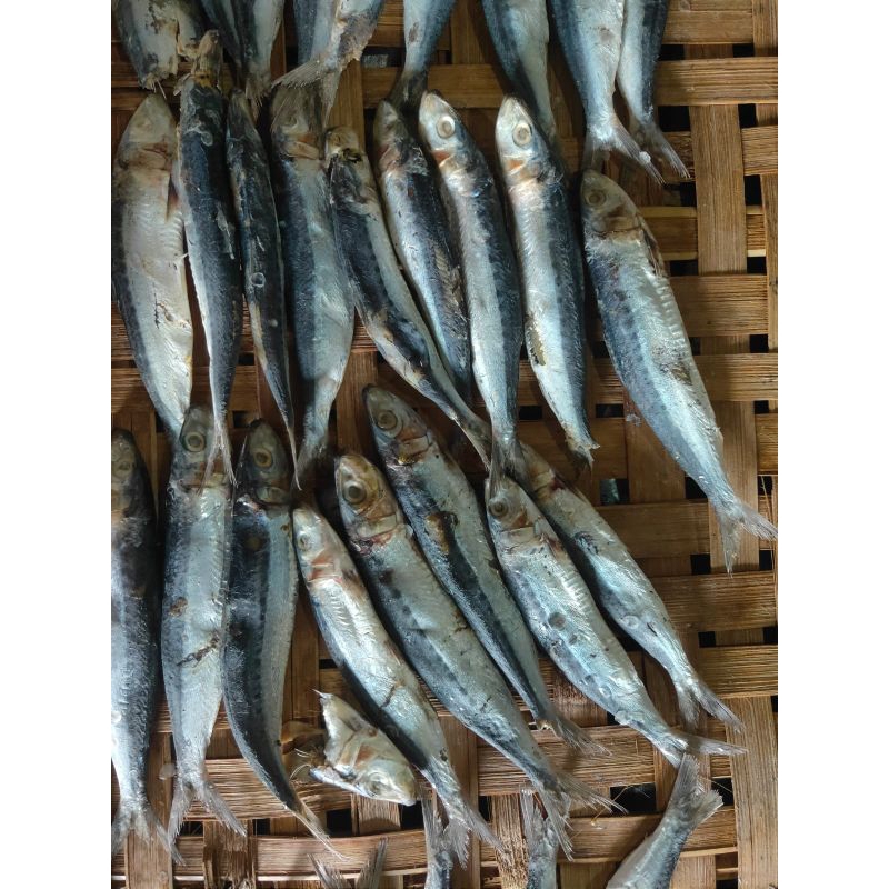 

IKAN ASIN SIRO KERING SIZE SEDANG ISI 1KG