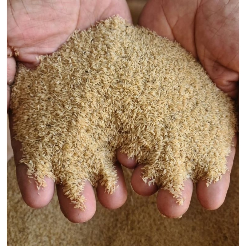 Telur Jangkrik Madu Kunyit