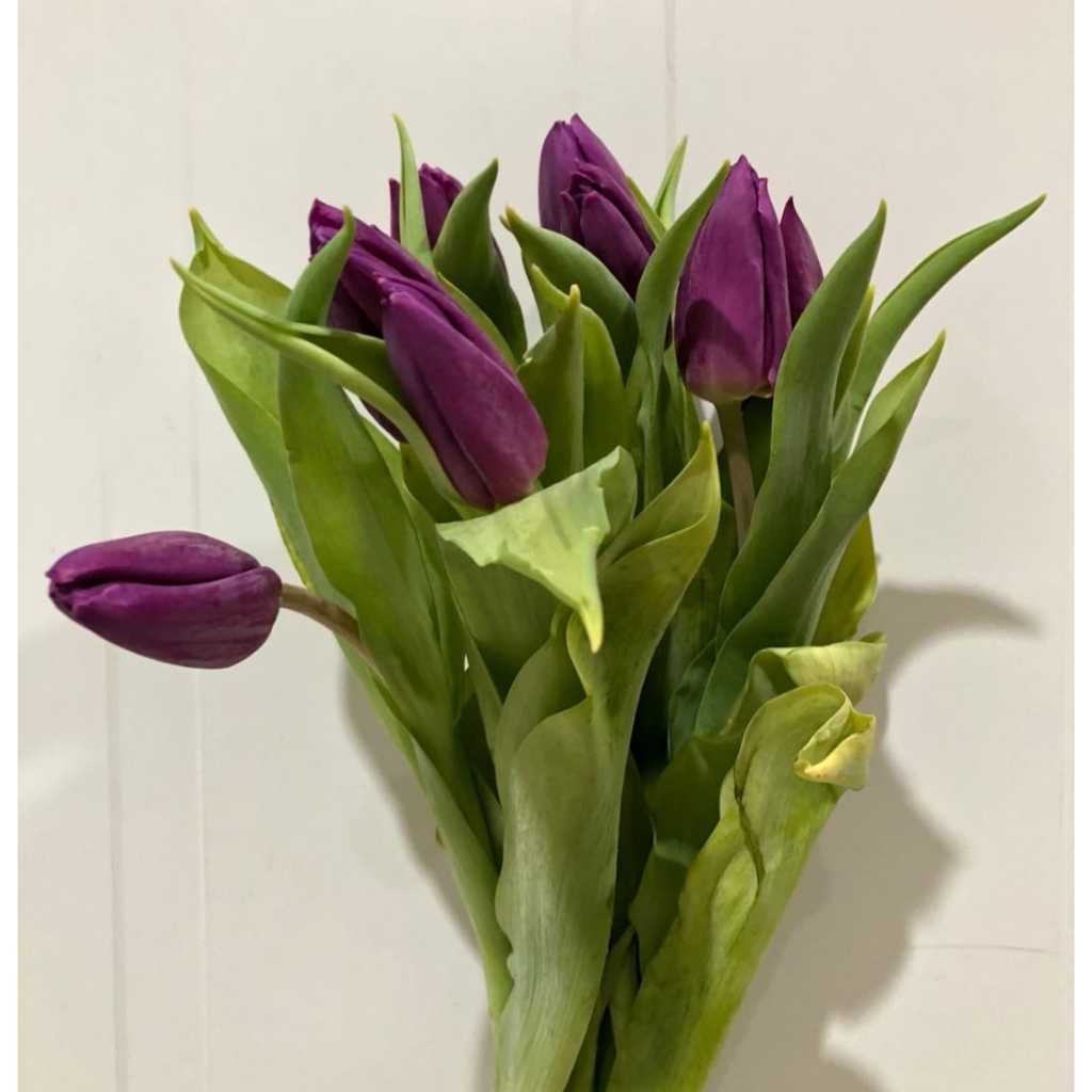 Bunga tulip import segar / asli berbagai warna.