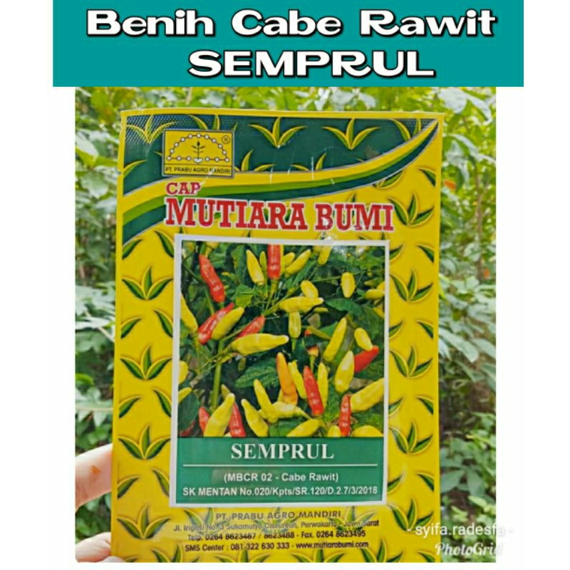 

10 GRAM BENIH CABE RAWIT SEMPRUL original kemasan pabrik .Cap Mutiara Bumi SEMPRUL Cabe Rawit