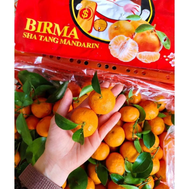 

Santang Birma | Jeruk Santang Birma | Santang manis