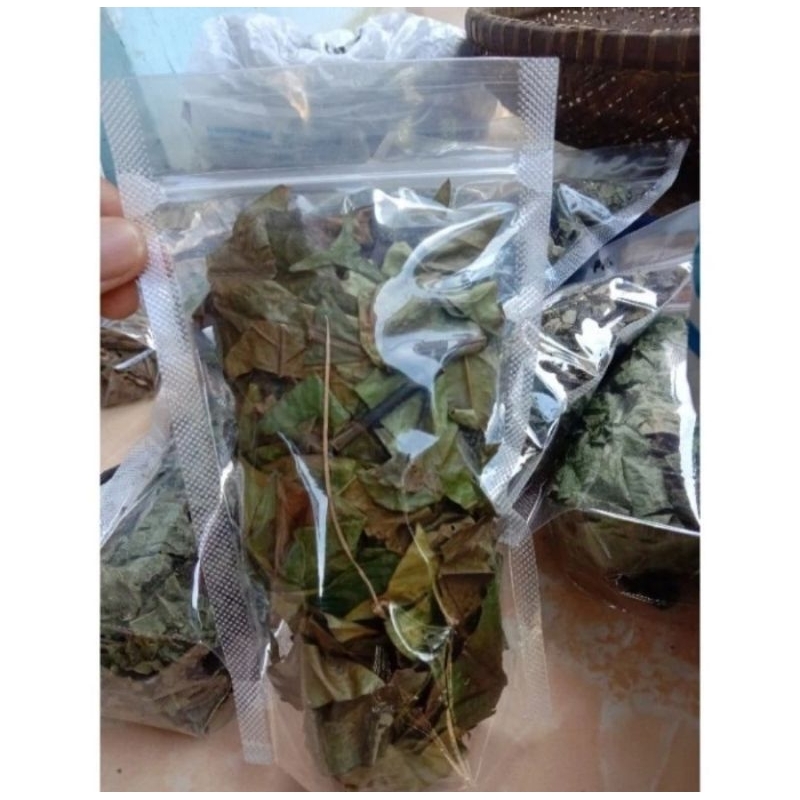 

Terbaru Daun Kopi Kering Perkantong Full BeribuManfaat