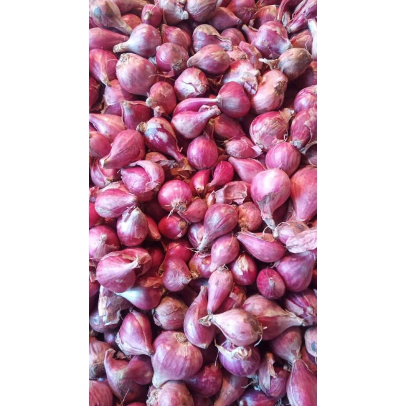 

Bawang Merah Campur Khas Brebes Bawang Merah Bumbu Dapur 1Kg termurah dan bisa COD