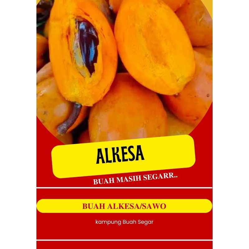 

Alkesa atau sawo mentega Manis & legit 1kg