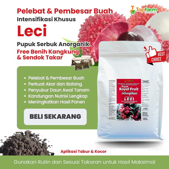 Pupuk Leci Cepat Berbuah / Pupuk Booster Leci Terbaik / Pupuk Booster Pelebat Buah Leci Terbaik