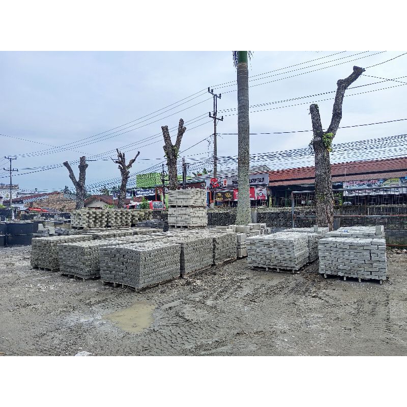 Paving Block S4 Mesin 6 cm K-250