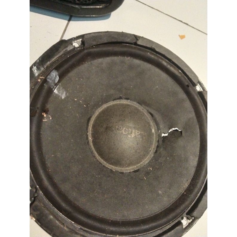 speaker national 8 inch Daun sobek
