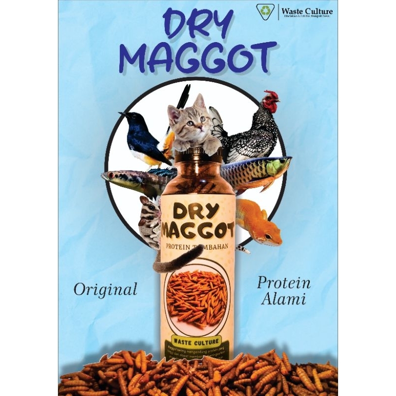 DRY MAGGOT/MAGGOT KERING/DRIED MAGGOT Original 45gram