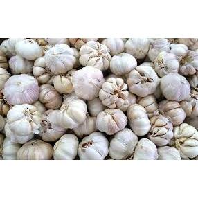 

BAWANG PUTIH SEGAR KUALITAS BAGUS 250 GRAM FRESHFARM88
